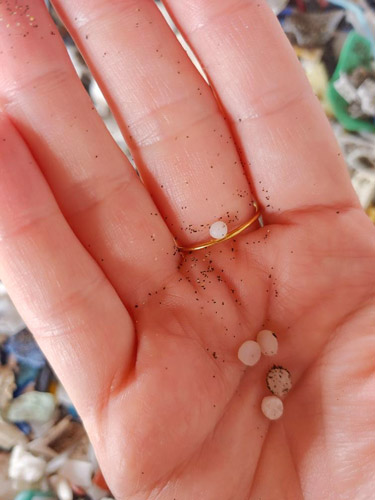 microplastique sur les plages