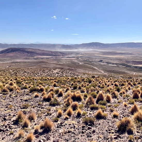 plaine d'altitude en Bolivie