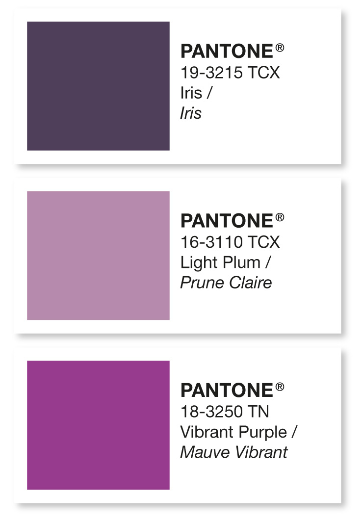 Pantone palette showing different shades of purple