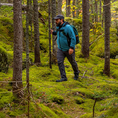 Hiker in a forested area