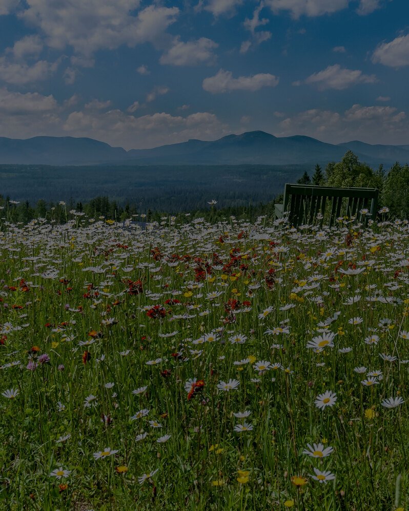 Et entre deux montagnes… Charlevoix